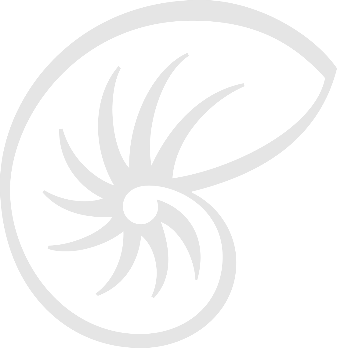 Nautile vecto noir 10